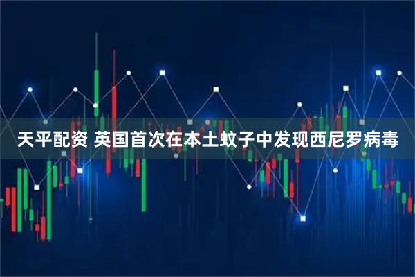 天平配资 英国首次在本土蚊子中发现西尼罗病毒