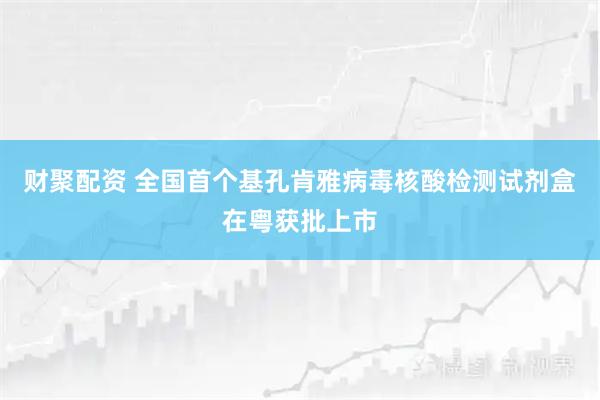 财聚配资 全国首个基孔肯雅病毒核酸检测试剂盒在粤获批上市