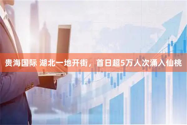 贵海国际 湖北一地开街，首日超5万人次涌入仙桃